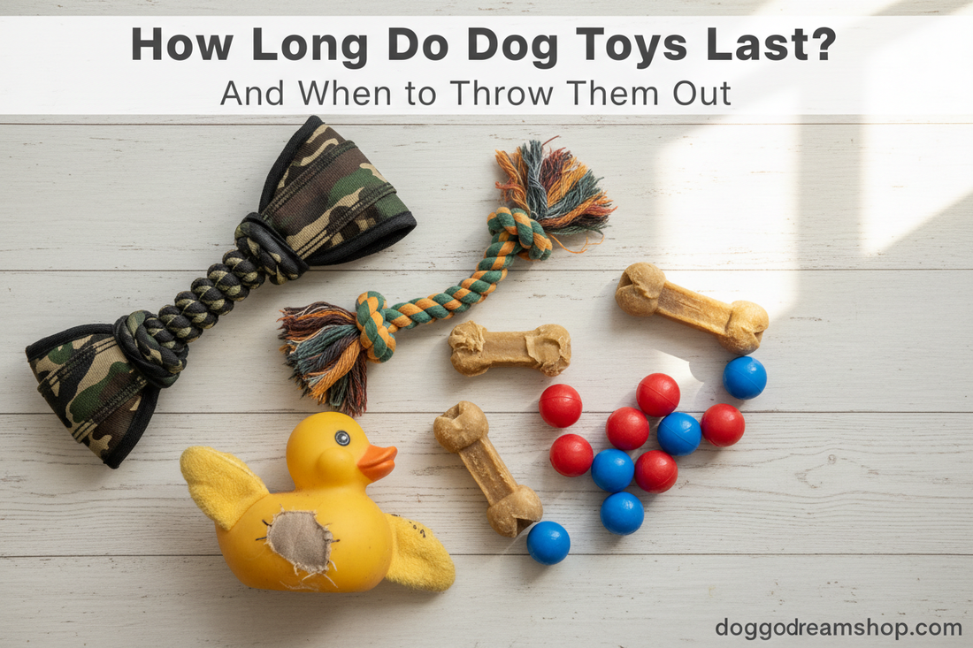 Flat lay of dog toys in various conditions including a ballistic nylon tug, worn rope toy, and plush toy arranged on a clean surface