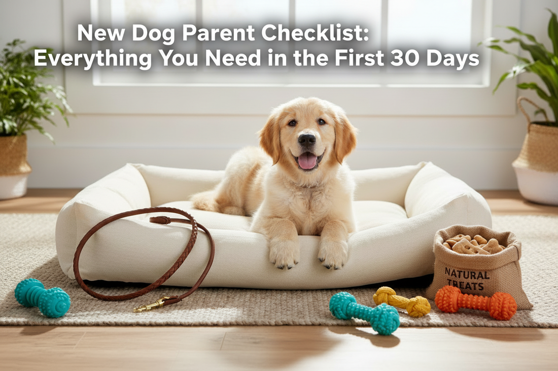 New dog parent essentials including a cozy dog bed, durable toys, and natural treats | Doggo Dream Shop