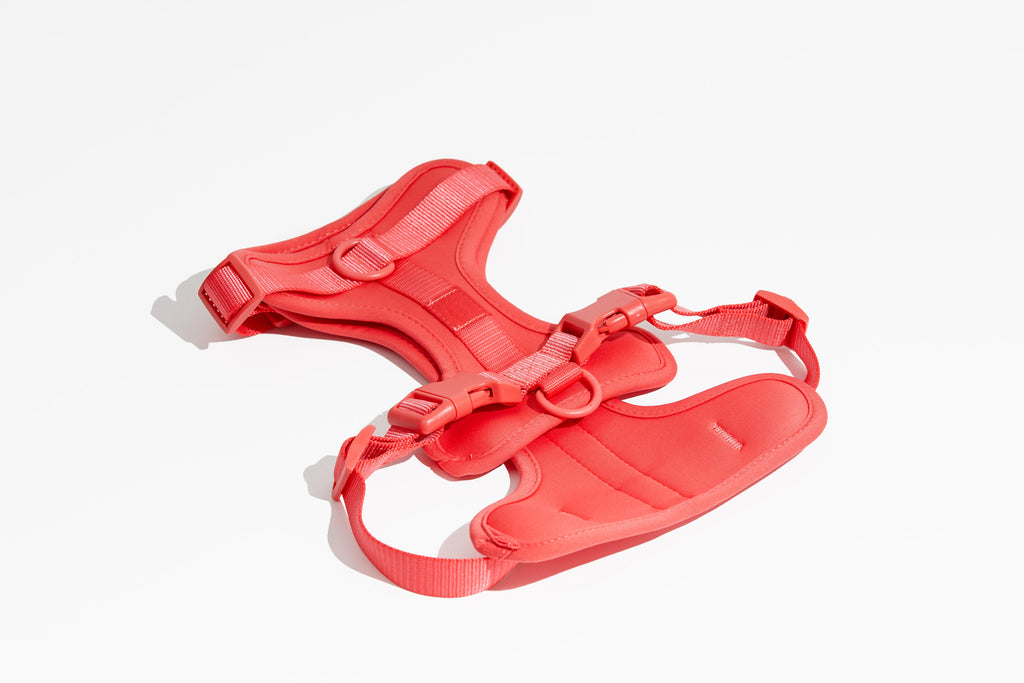 Luxe Harness – Luxe Harness | Doggo Dream Shop