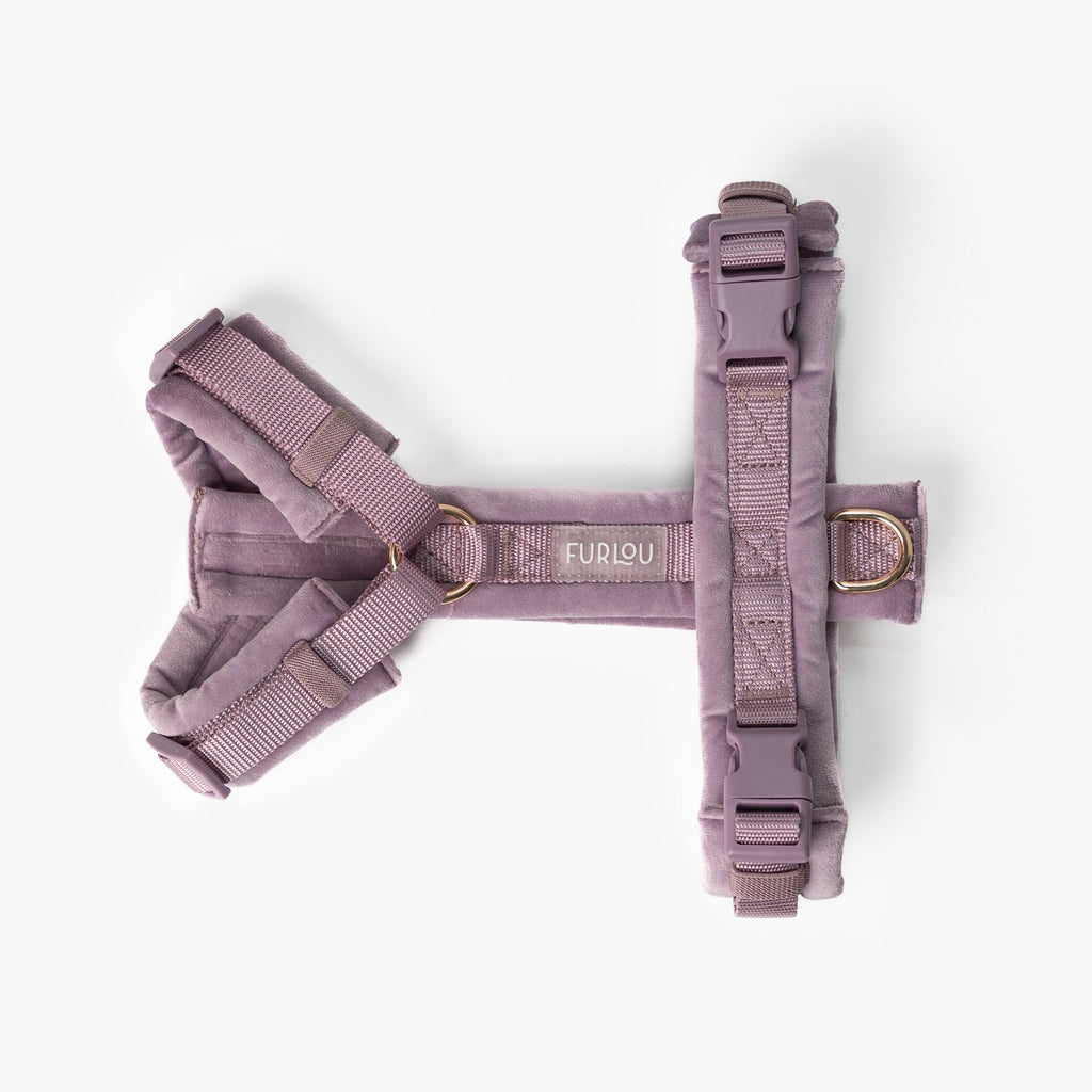 Lilac Velvet Dog Harness – 5-Point Adjustable Fit | FURLOU