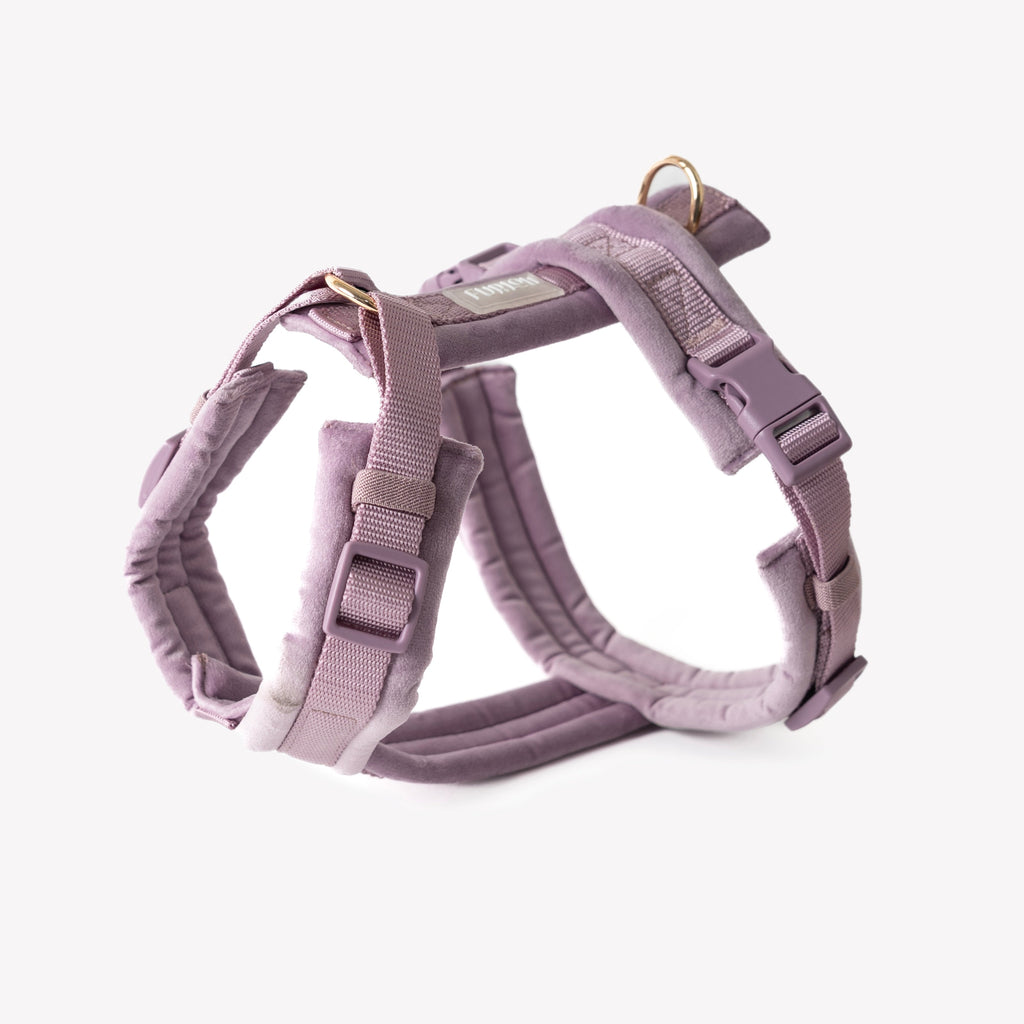 Lilac Velvet Dog Harness – 5-Point Adjustable Fit | FURLOU
