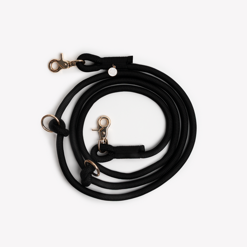 Black Hands-Free Braided Dog Leash | FURLOU
