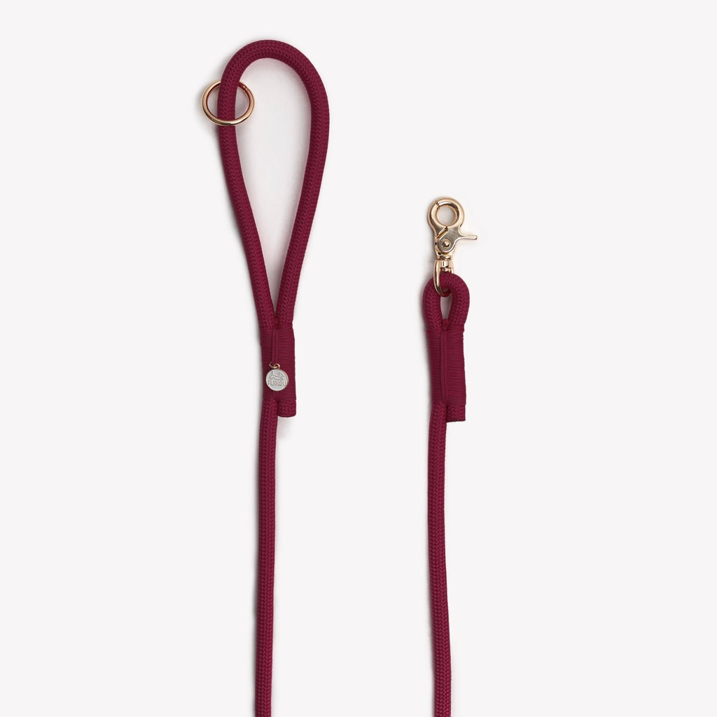 Bordeaux Braided Rope Dog Leash | FURLOU