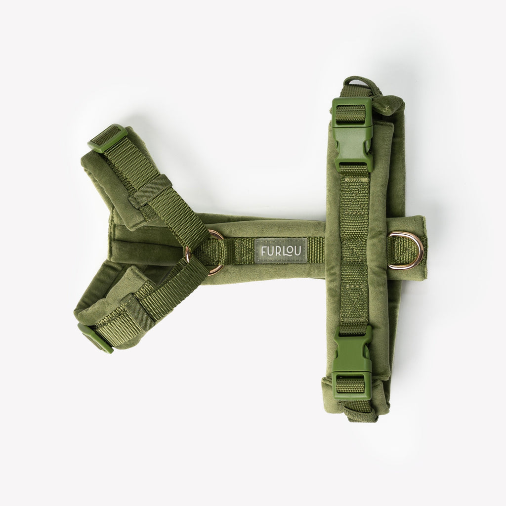 Green Velvet Dog Harness – 5-Point Adjustable Fit | FURLOU