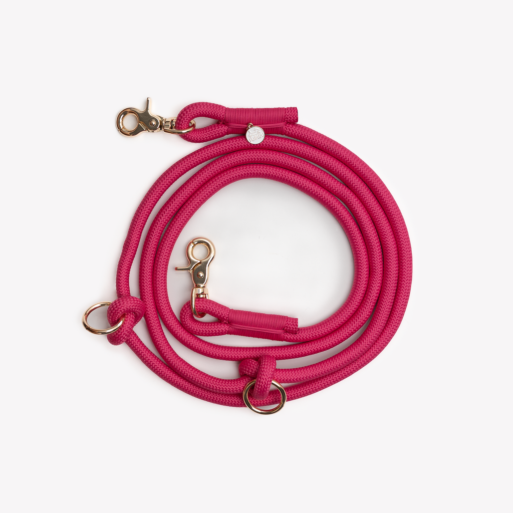 Magenta Hands-Free Braided Dog Leash | FURLOU