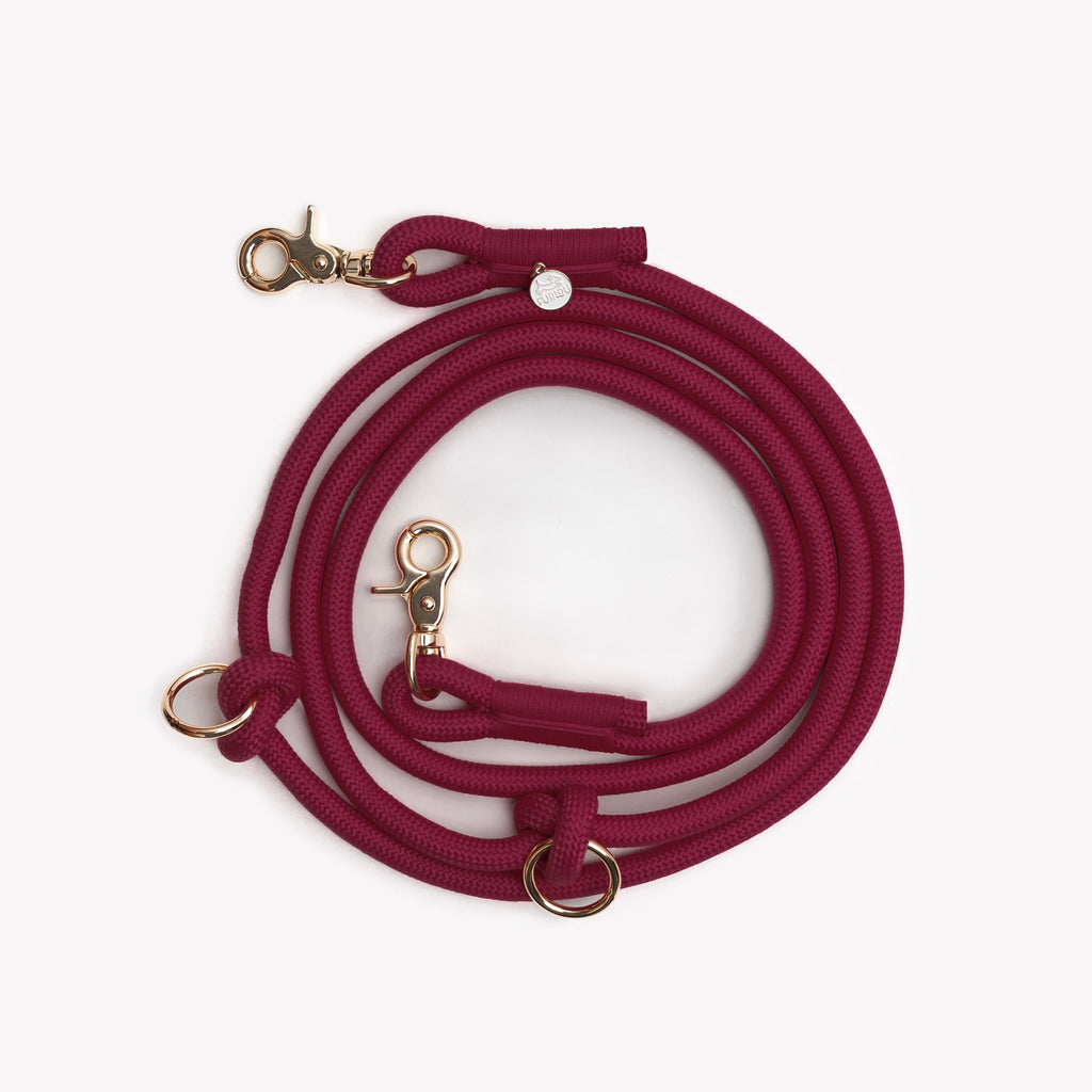 Bordeaux Hands-Free Braided Dog Leash | FURLOU