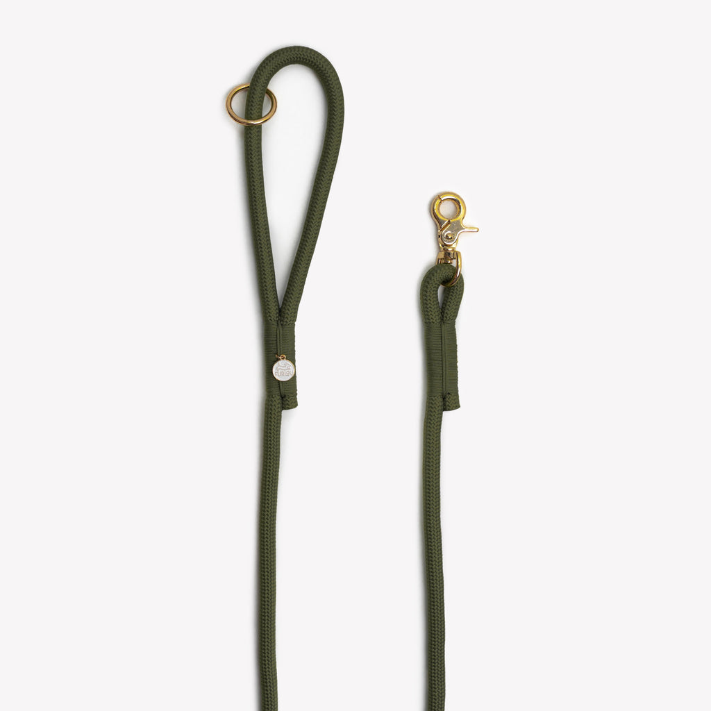 Moss Green Braided Rope Dog Leash | FURLOU