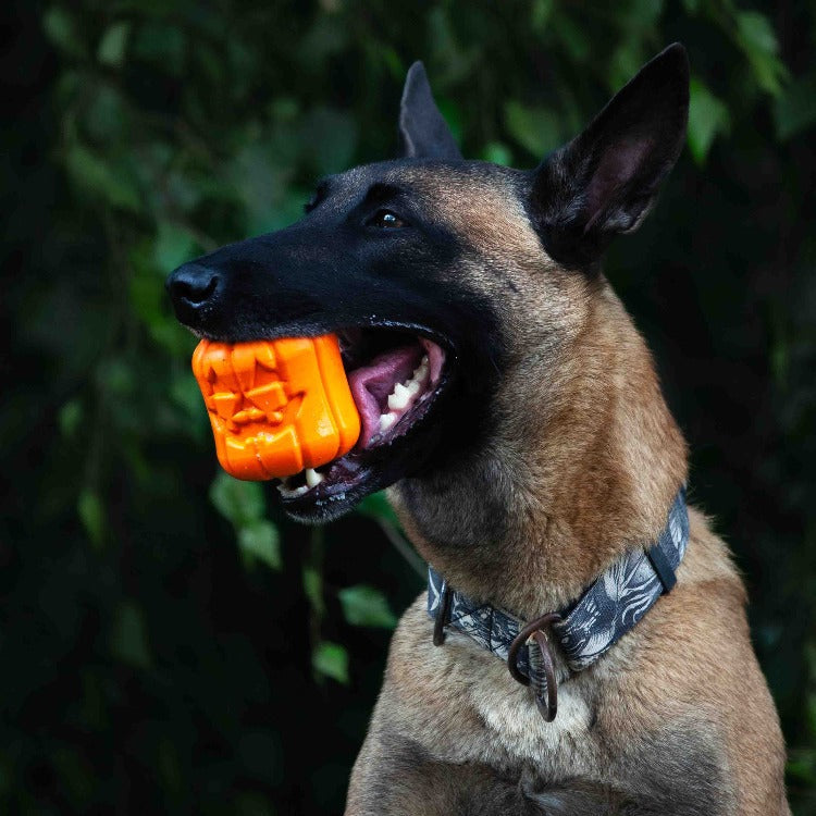Jack O' Lantern Dog Toy - Durable Halloween Chew Toy for Large Dogs | USA Made