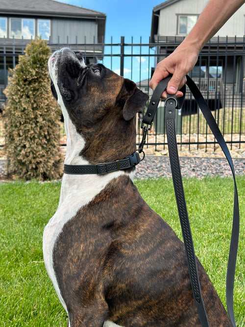 Celtic Sport Midnight Black Leather Dog Leash | Euro-Dog
