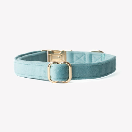Blue Velvet Dog Collar – Gold Hardware | FURLOU
