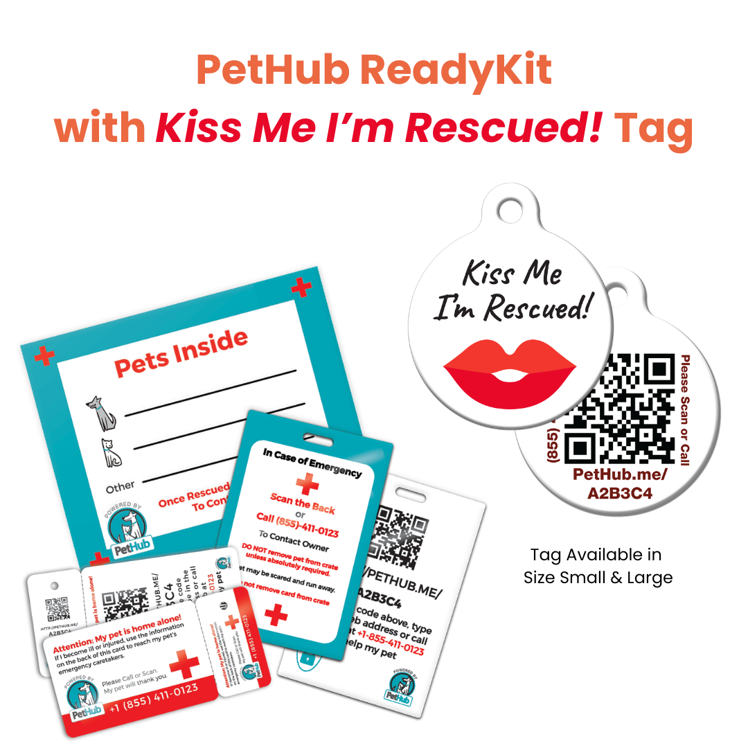 PetHub QR Pet ID Comprehensive ReadyKit – Complete Emergency Kit – Digital Pet ID Tag | Doggo Dream Shop