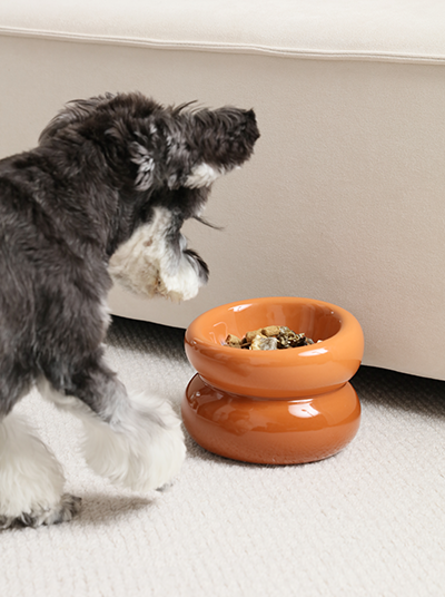 Soufflé Ceramic Dog Bowl – Amber Orange