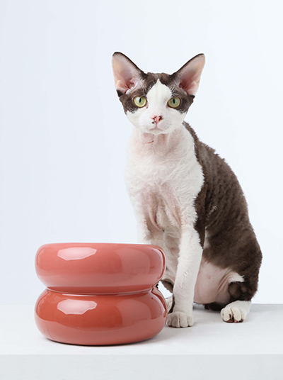 Soufflé Ceramic Dog Bowl – Rose Pink