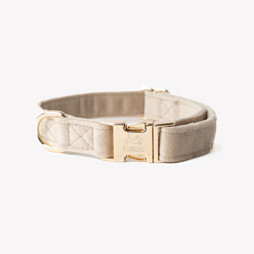 Sand Velvet Dog Collar – Gold Hardware | FURLOU