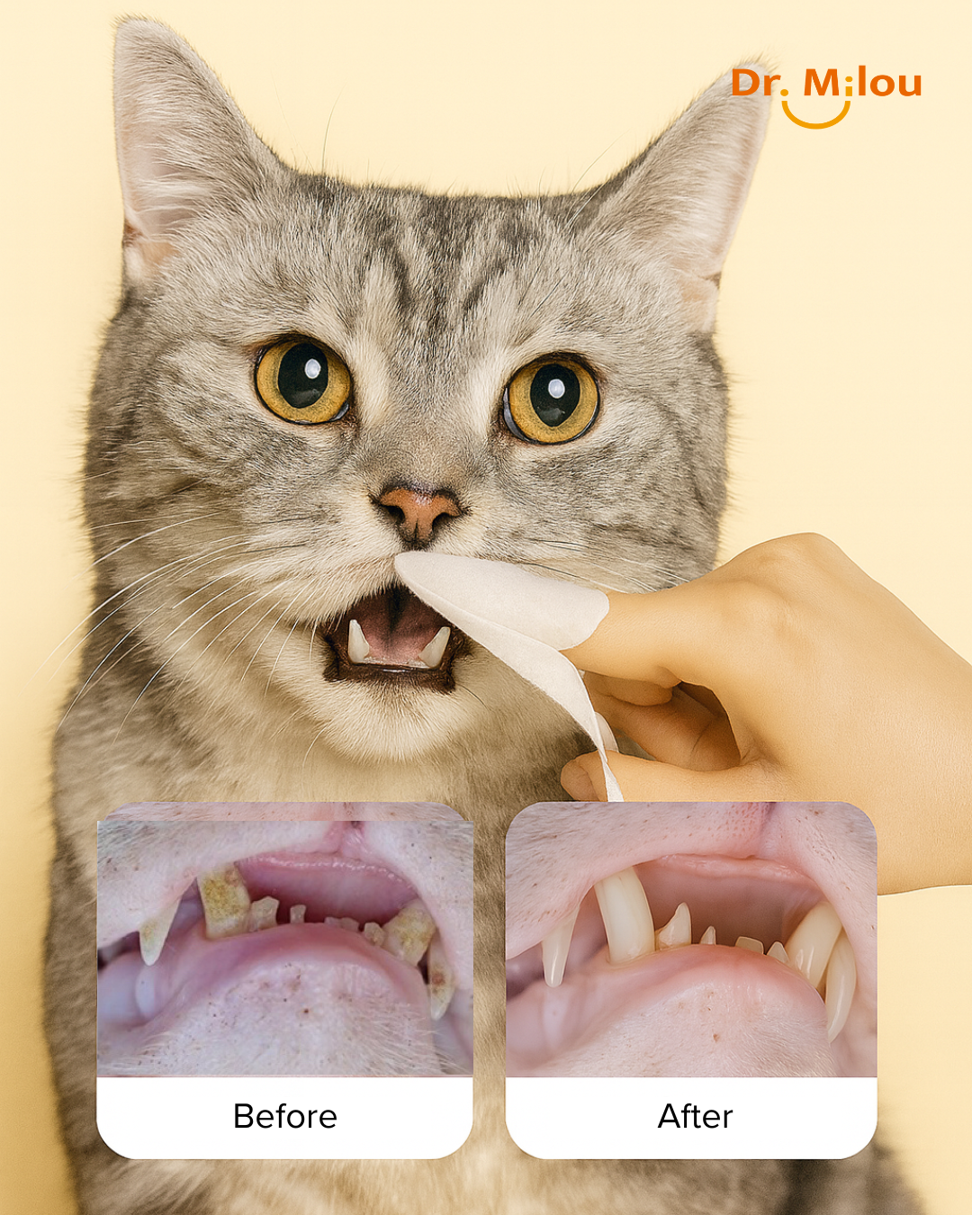 Pet Dental Finger Wipes – Daily Oral Care for Dogs & Cats | Dr. Milou