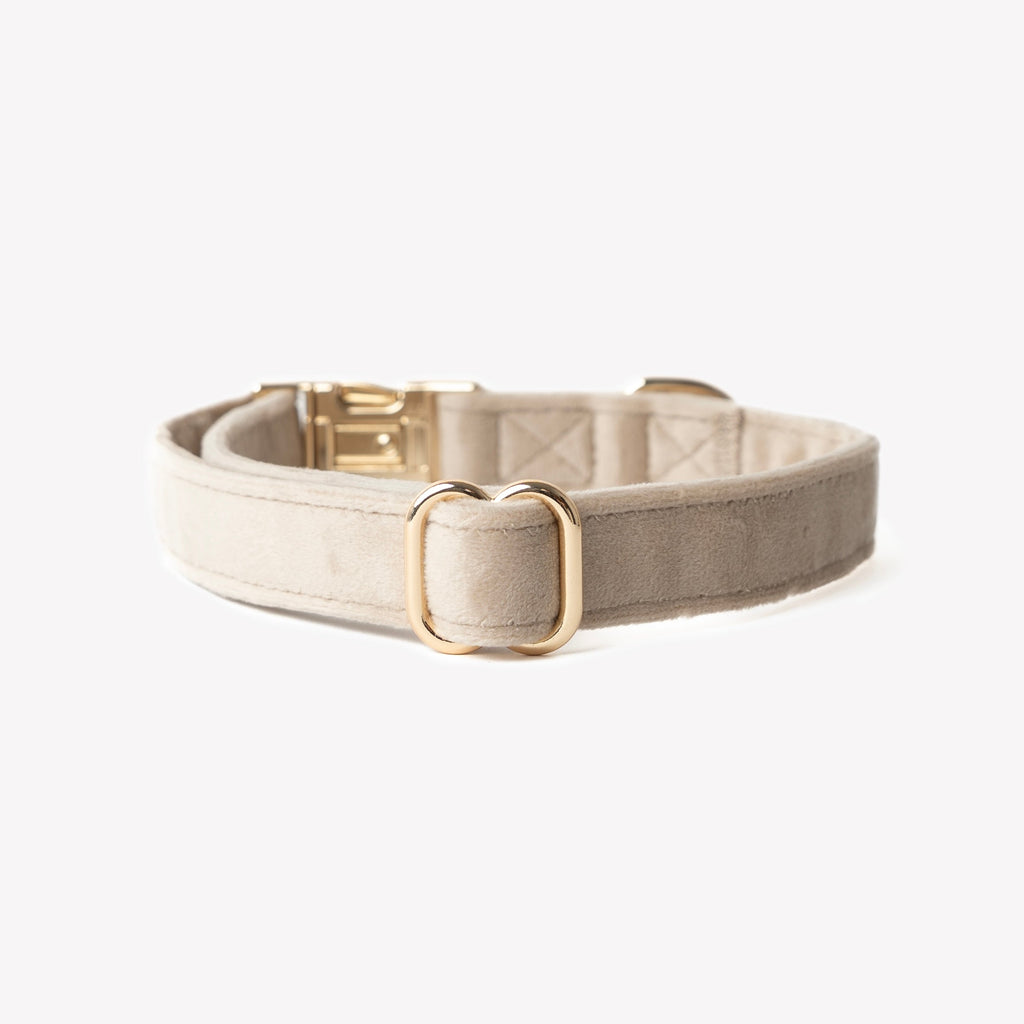 Sand Velvet Dog Collar – Gold Hardware | FURLOU
