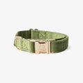 Green Velvet Dog Collar – Gold Hardware | FURLOU