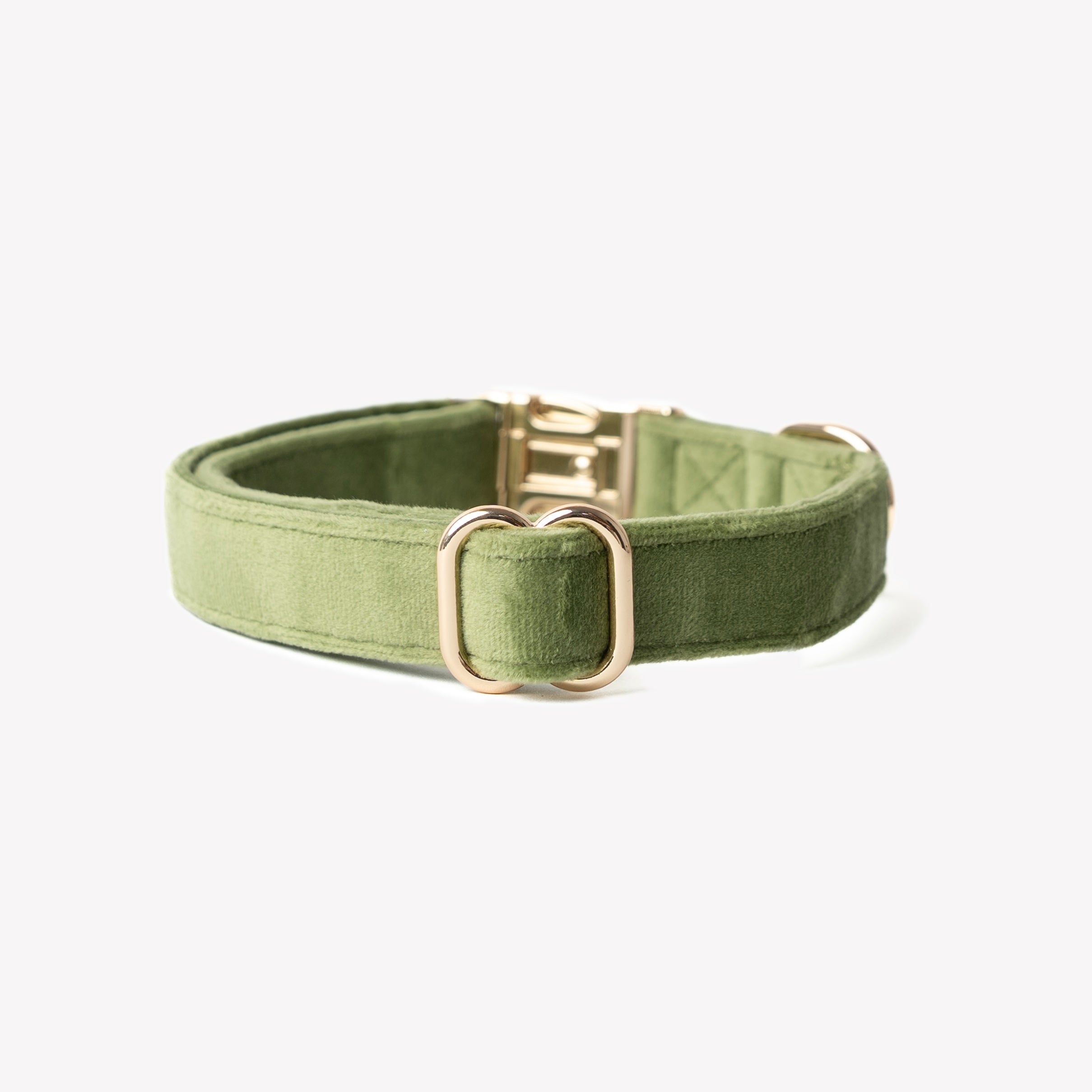 Green Velvet Dog Collar – Gold Hardware | FURLOU
