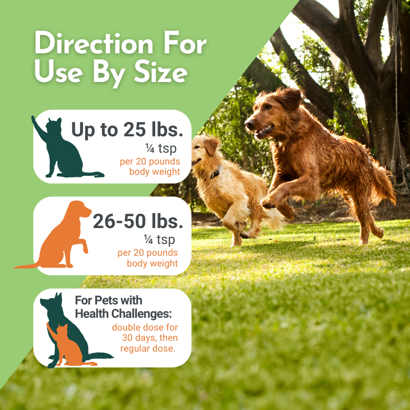 Holistic Total Body Support – Multivitamin & Glandular Supplement for Dogs & Cats | Dr. Ruth Roberts