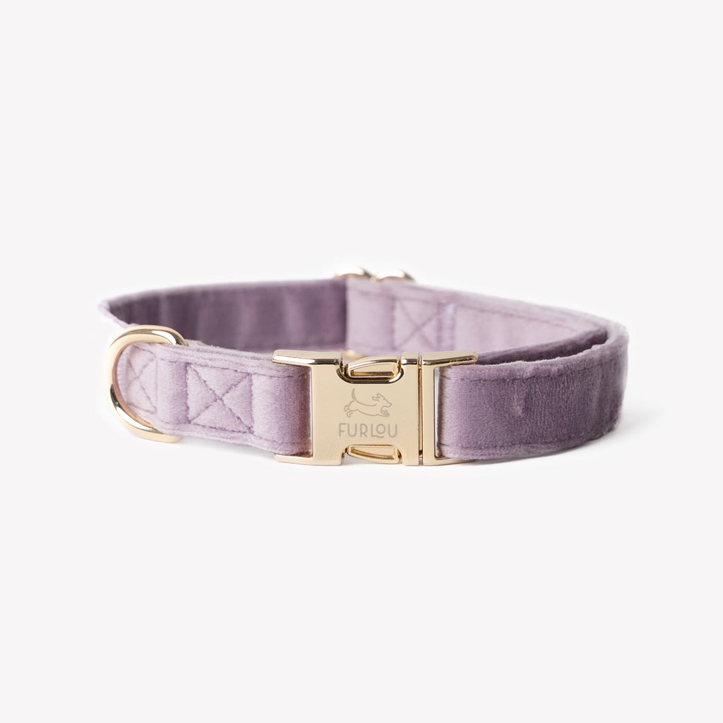 Lilac Velvet Dog Collar – Gold Hardware | FURLOU