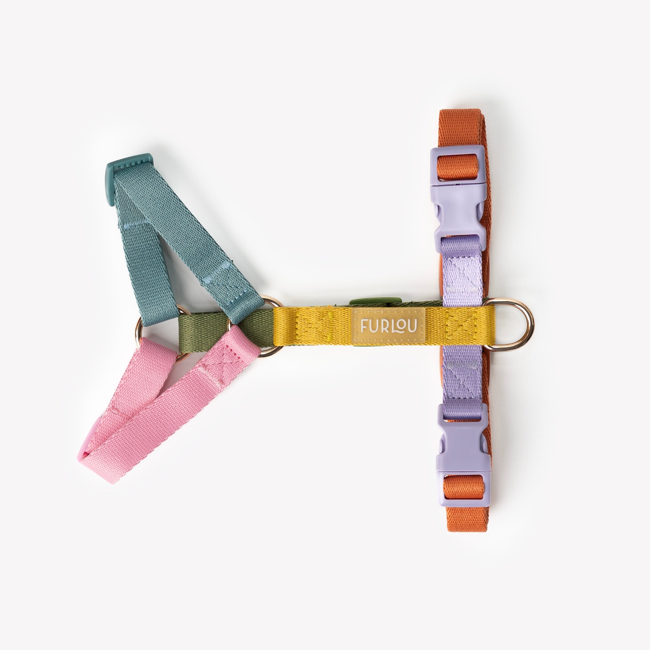 Rainbow Dog Harness