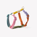 Rainbow Dog Harness