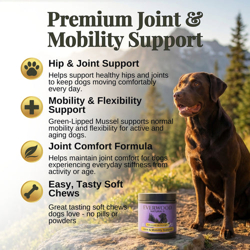 Advanced Vet Strength Joint & Mobility Dog Supplement Chews | Everwood Naturals