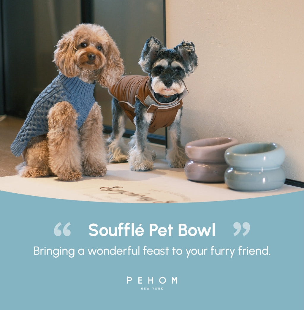 Soufflé Ceramic Dog Bowl – Frozen Blue