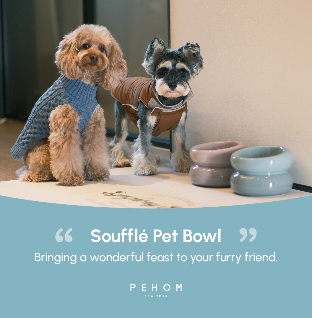Soufflé Ceramic Dog Bowl – Frozen Blue