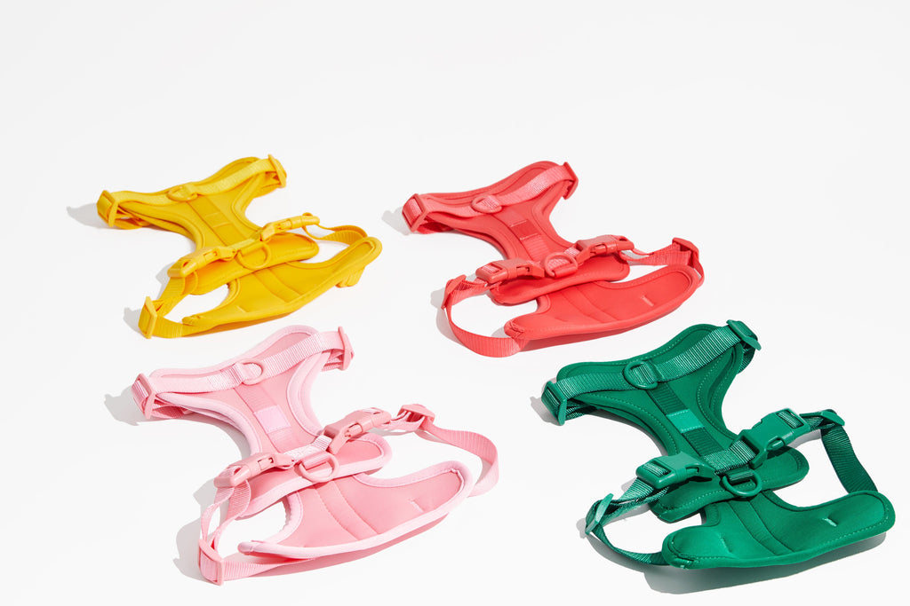 Luxe Harness – Luxe Harness | Doggo Dream Shop