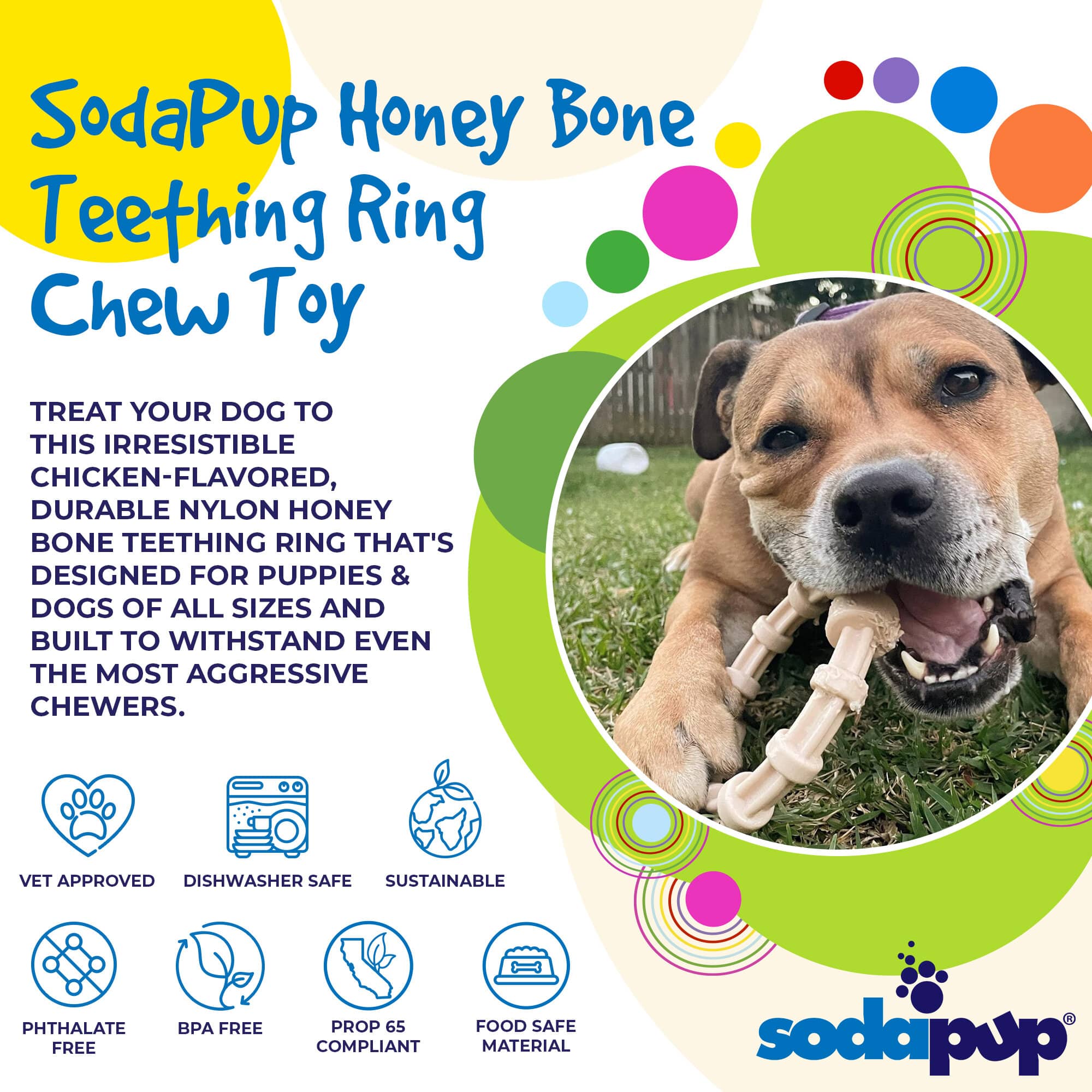 Chicken Flavored Nylon Teething Ring for Puppies & Aggressive Chewers | USA Made