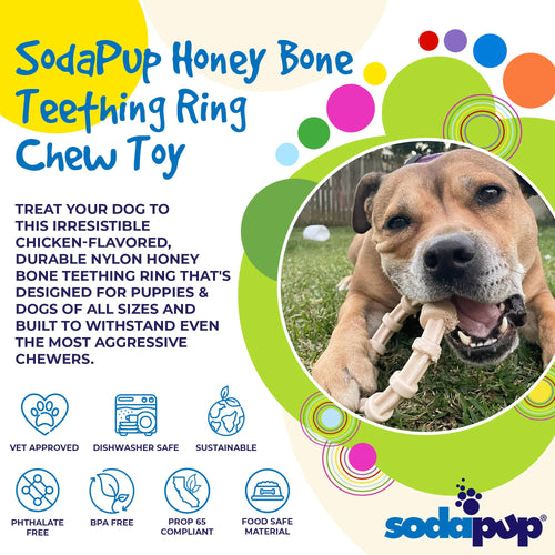 Chicken Flavored Nylon Teething Ring for Puppies & Aggressive Chewers | USA Made