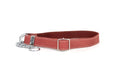Martingale Coral Reef Leather Dog Collar | Euro-Dog