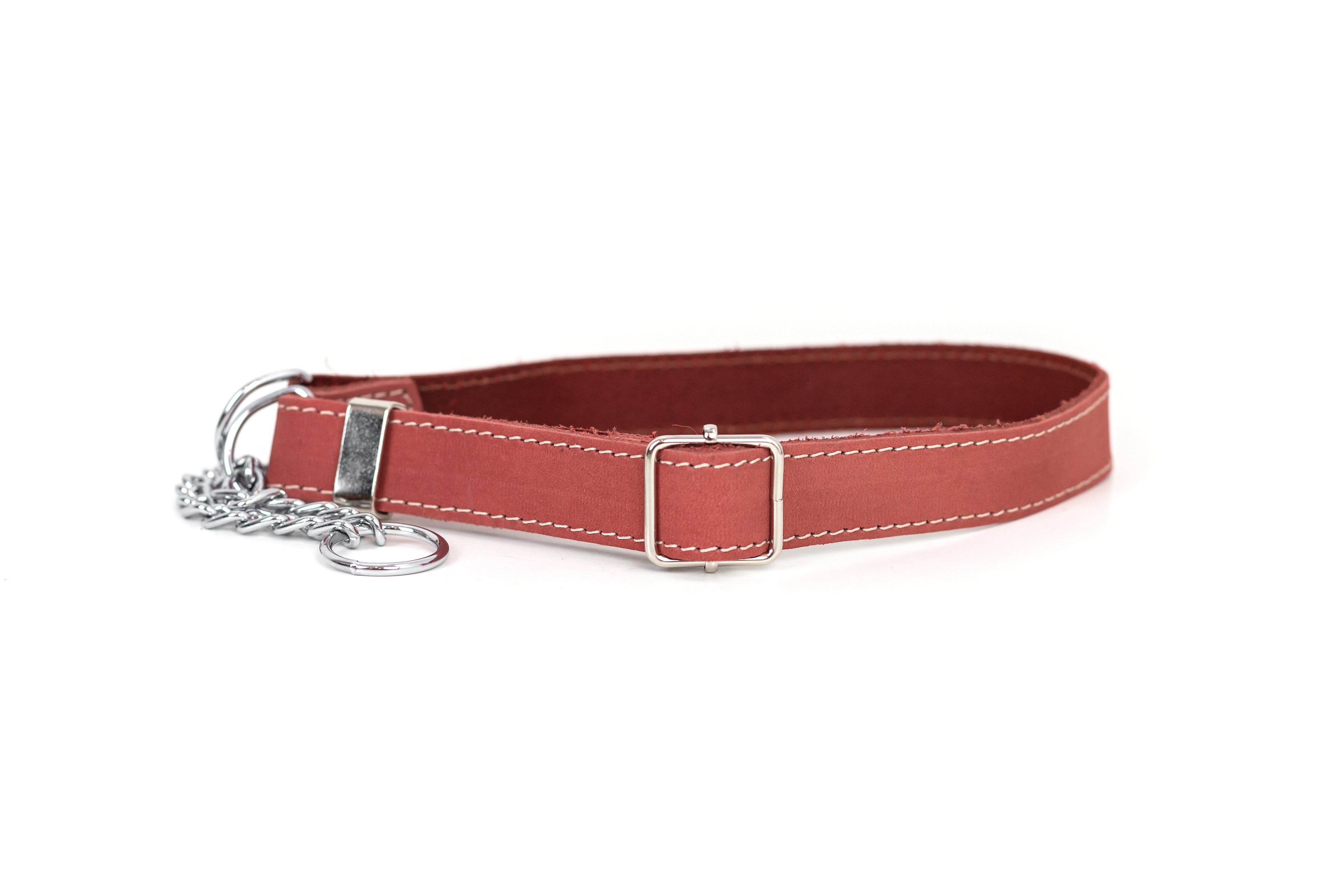 Martingale Coral Reef Leather Dog Collar | Euro-Dog