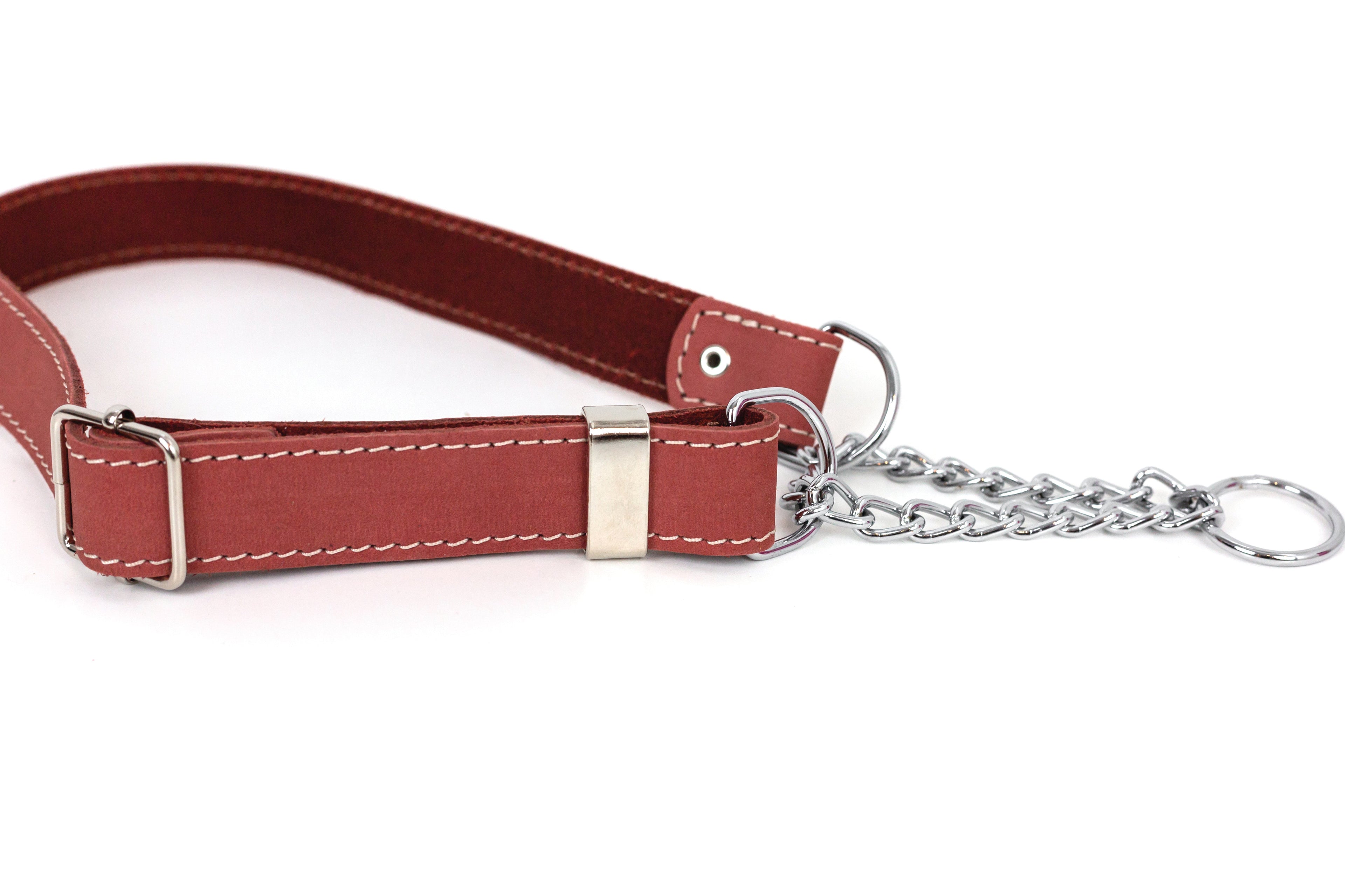 Martingale Coral Reef Leather Dog Collar | Euro-Dog