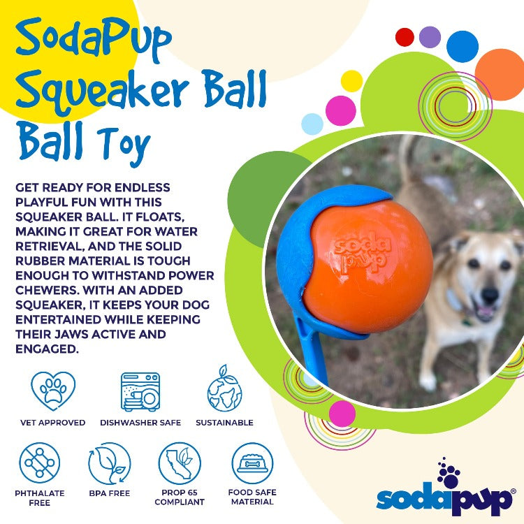 Squeak Ball – Durable Squeaky Dog Toy That Floats | USA Made
