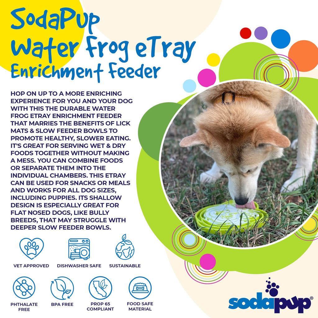Water Frog eTray Slow Feeder Dog Bowl for Enrichment | USA Made