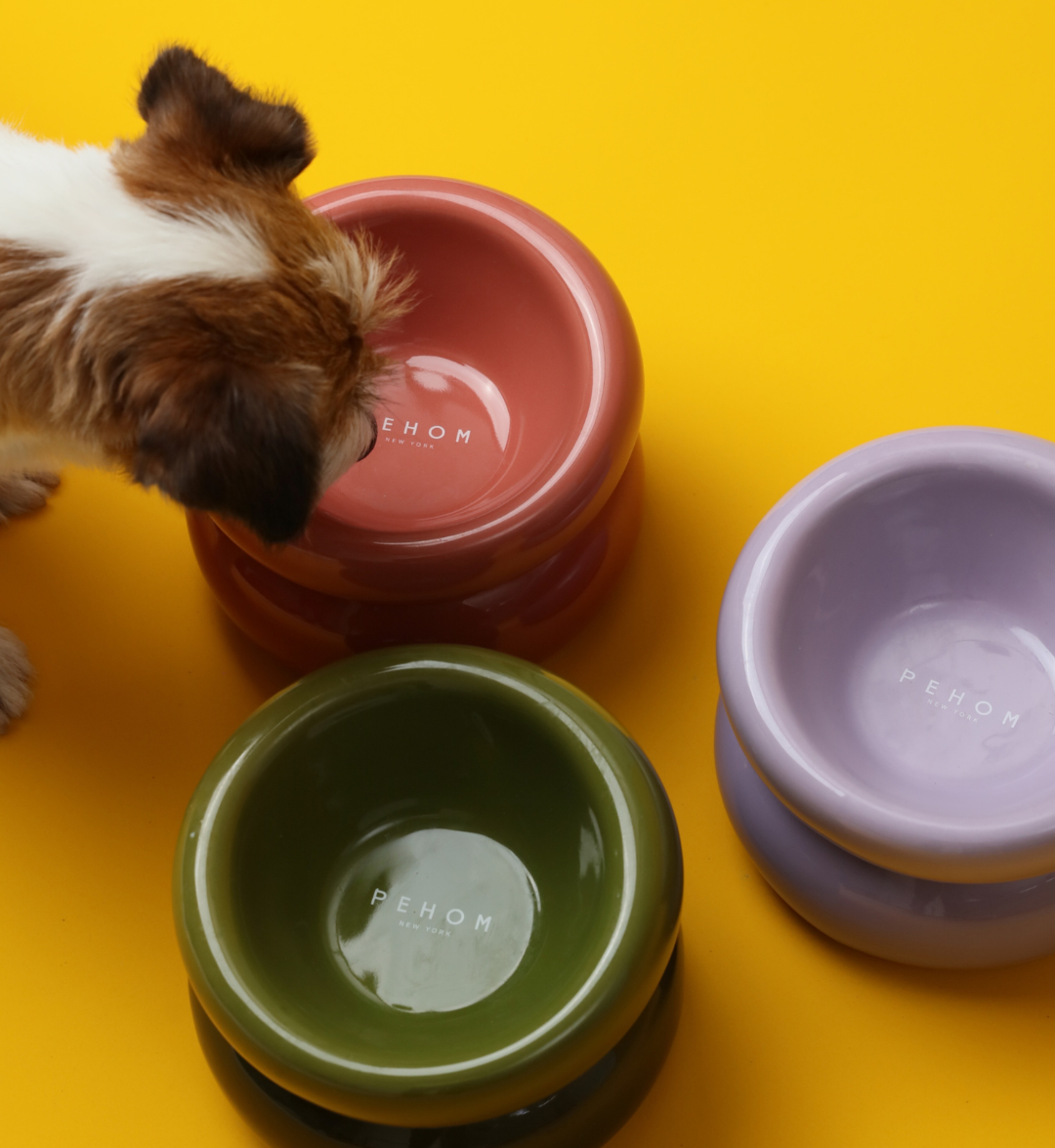 Soufflé Ceramic Dog Bowl – Purple