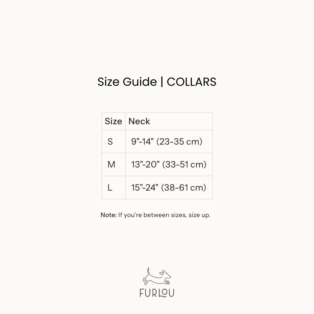 Lilac Velvet Dog Collar – Gold Hardware | FURLOU