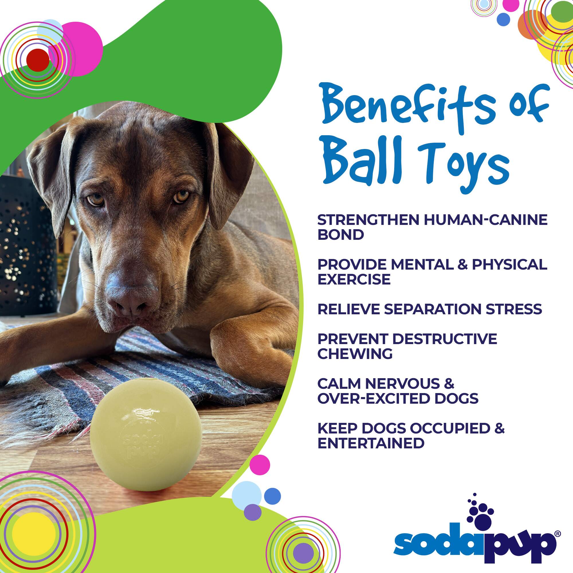 Squeak Ball – Durable Squeaky Dog Toy That Floats | USA Made