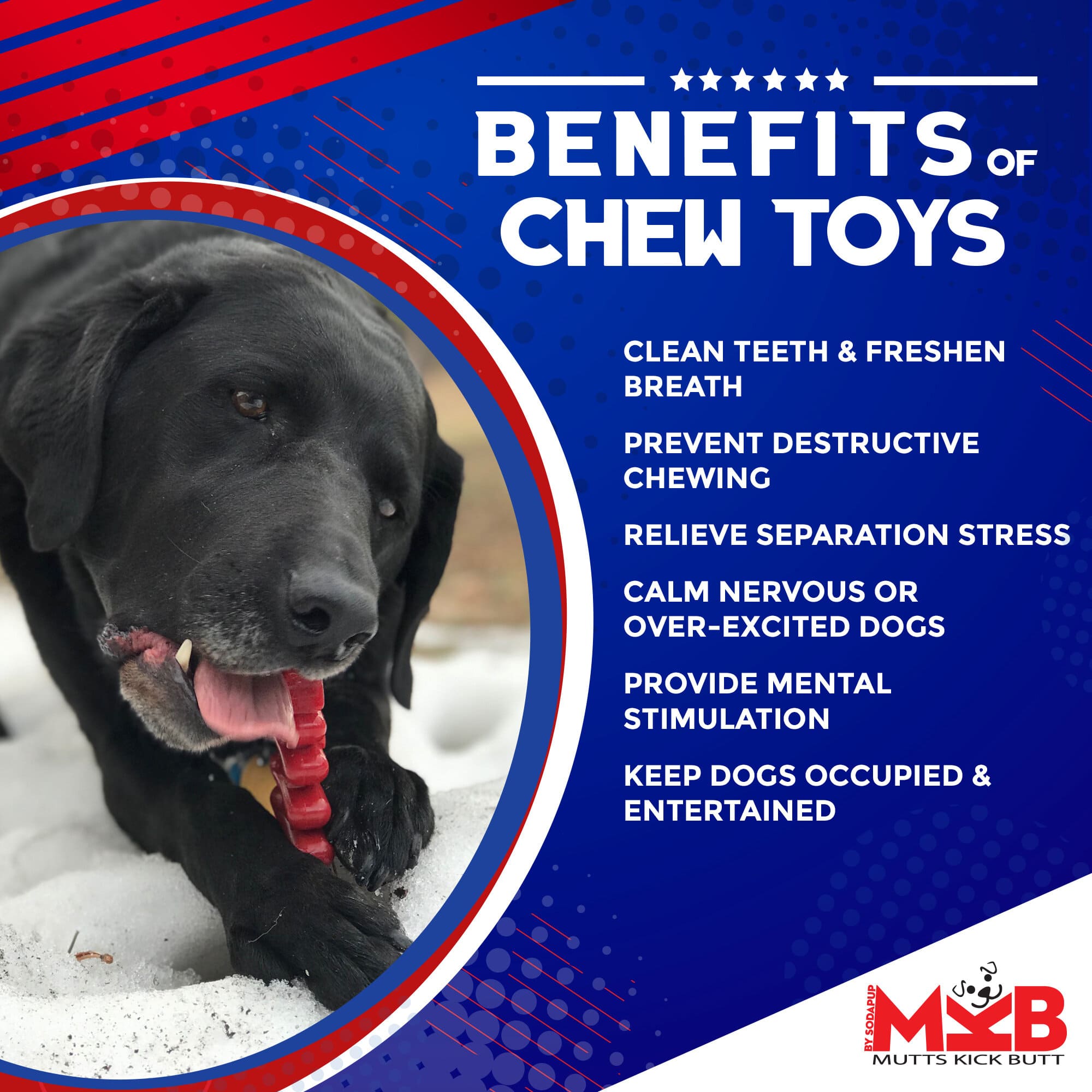 Christmas Tree Nylon Dog Chew Toy for Aggressive Chewers | USA Made