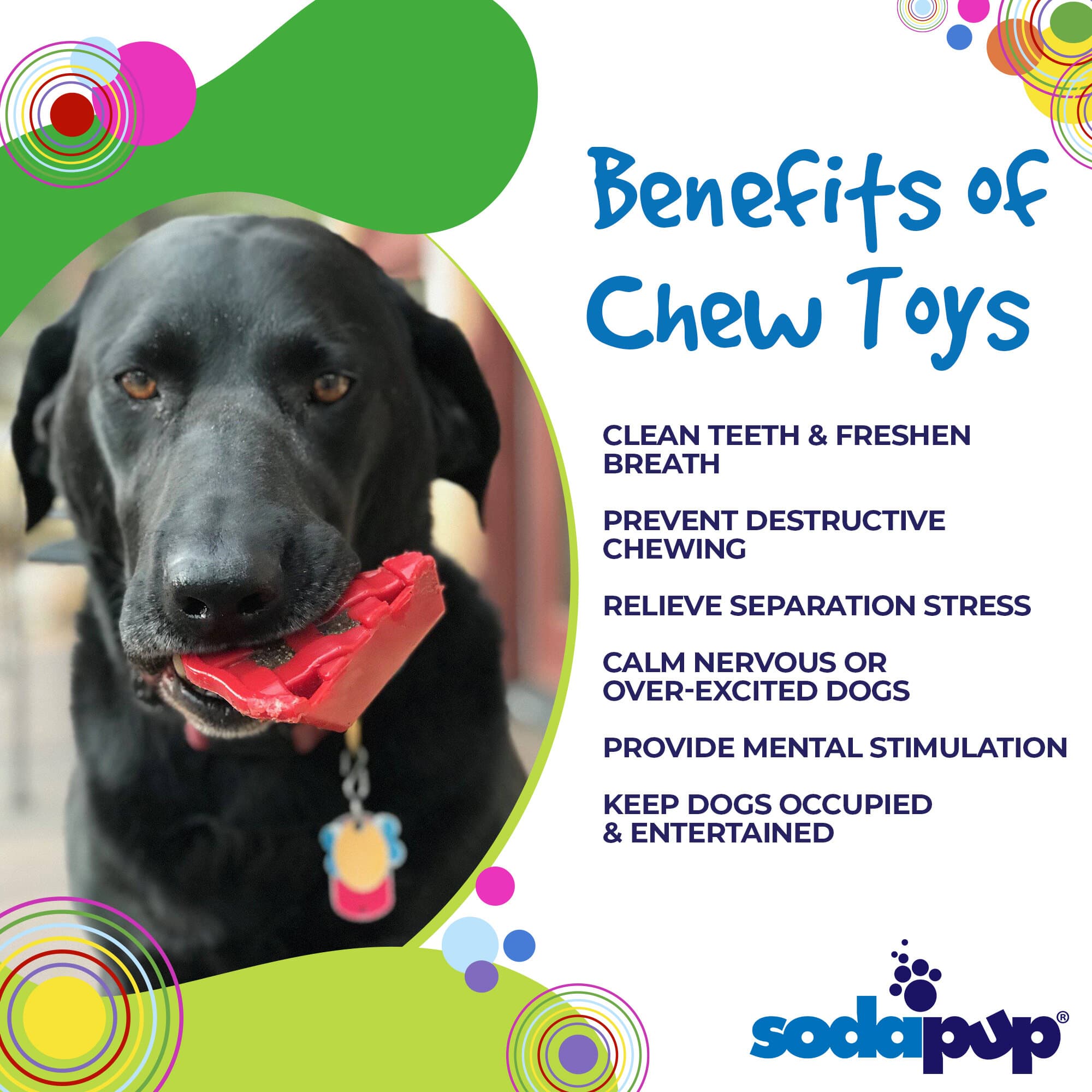 Cherry Pie Nylon Dog Chew Toy & Treat Holder for Aggressive Chewers | USA Made