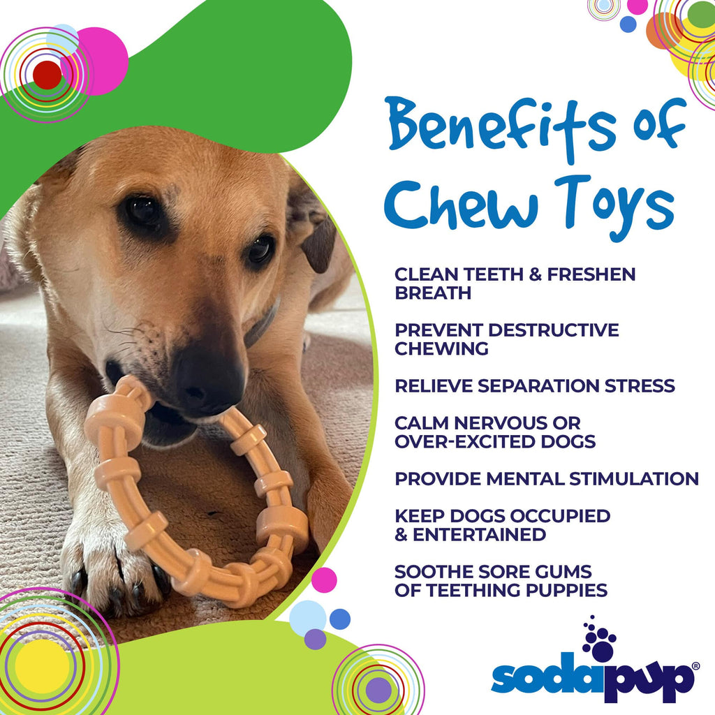 Chicken Flavored Nylon Teething Ring for Puppies & Aggressive Chewers | USA Made