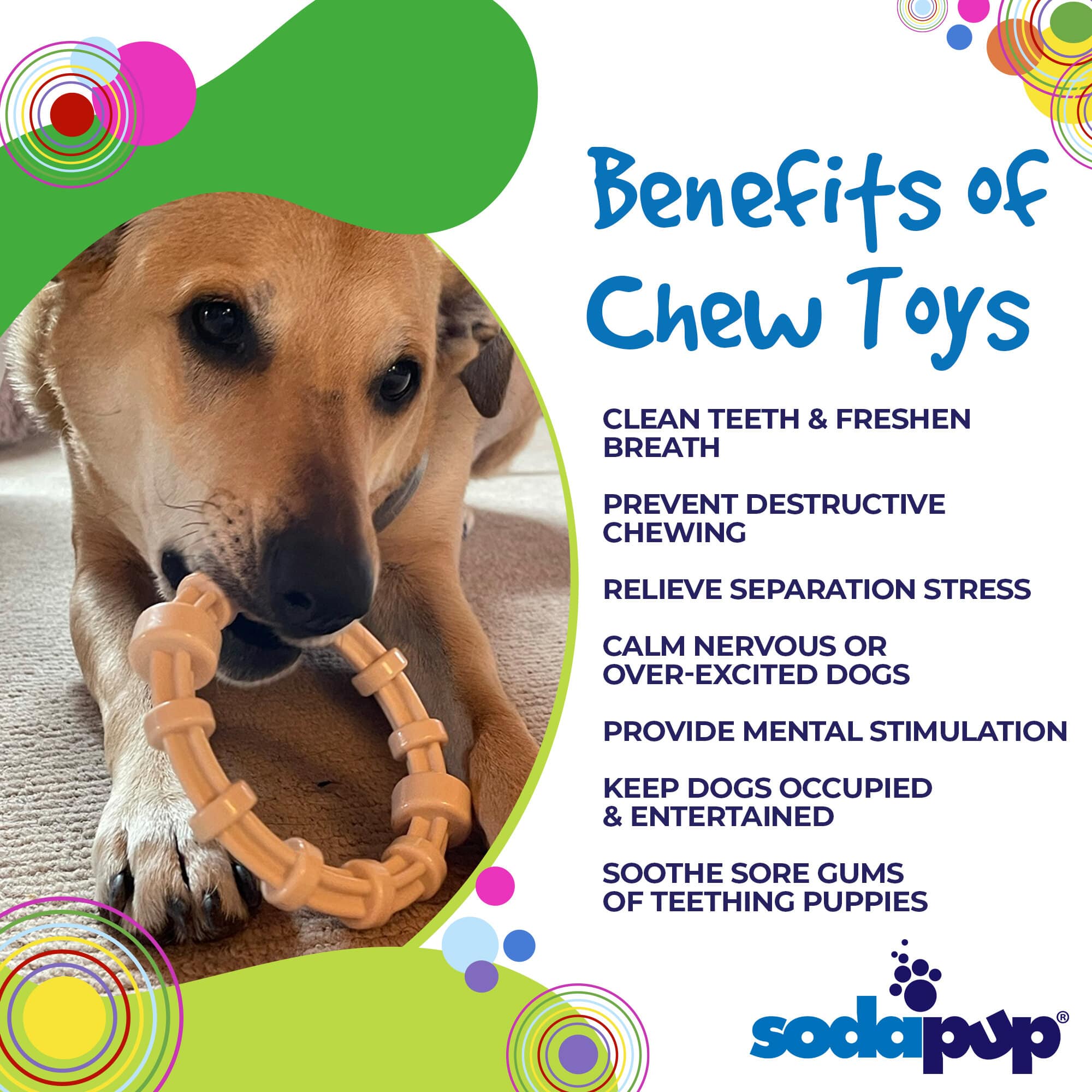 Chicken Flavored Nylon Teething Ring for Puppies & Aggressive Chewers | USA Made