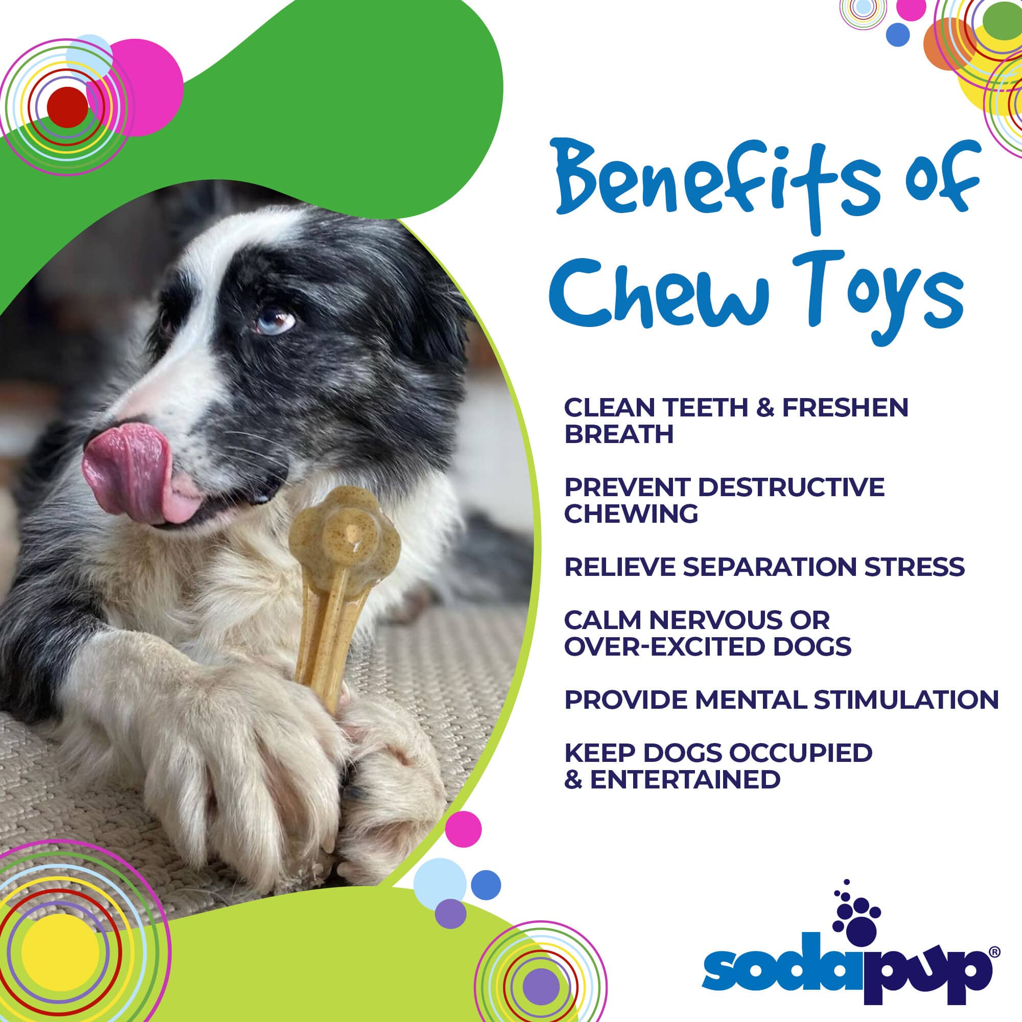 Knuckle Bone Nylon Dog Chew Toy for Aggressive Chewers | USA Made
