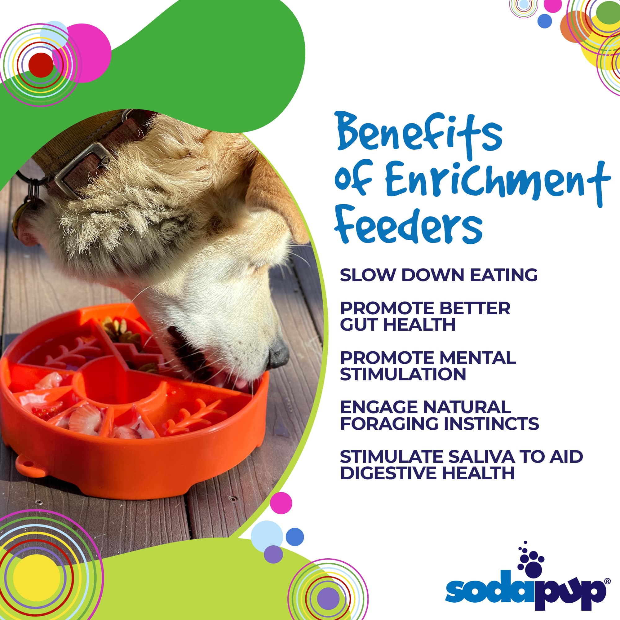 SodaPup Great Outdoors eBowl benefits — slow feeding, enrichment, digestion, anxiety relief