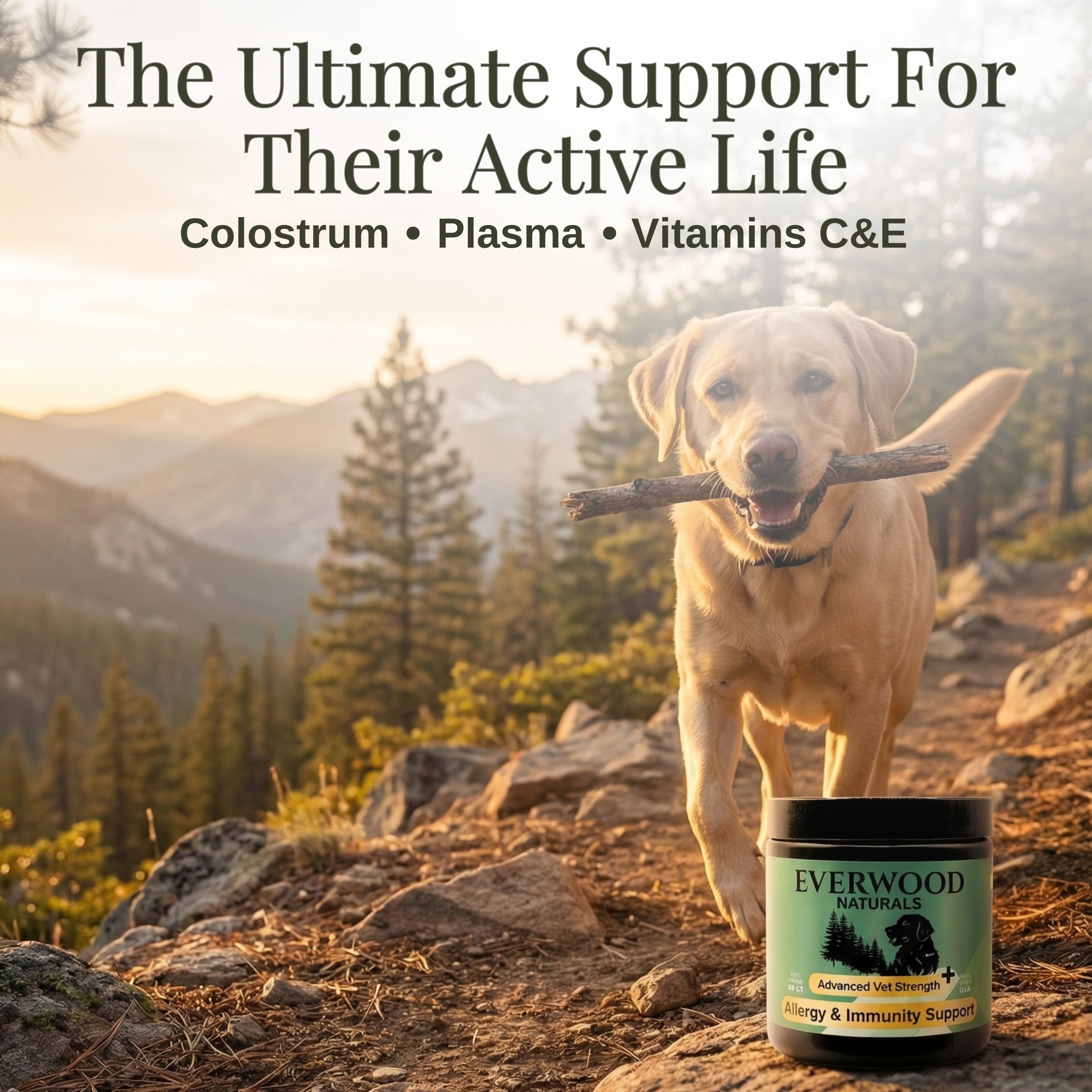 Advanced Vet Strength Allergy & Immunity Dog Supplement Chews | Everwood Naturals