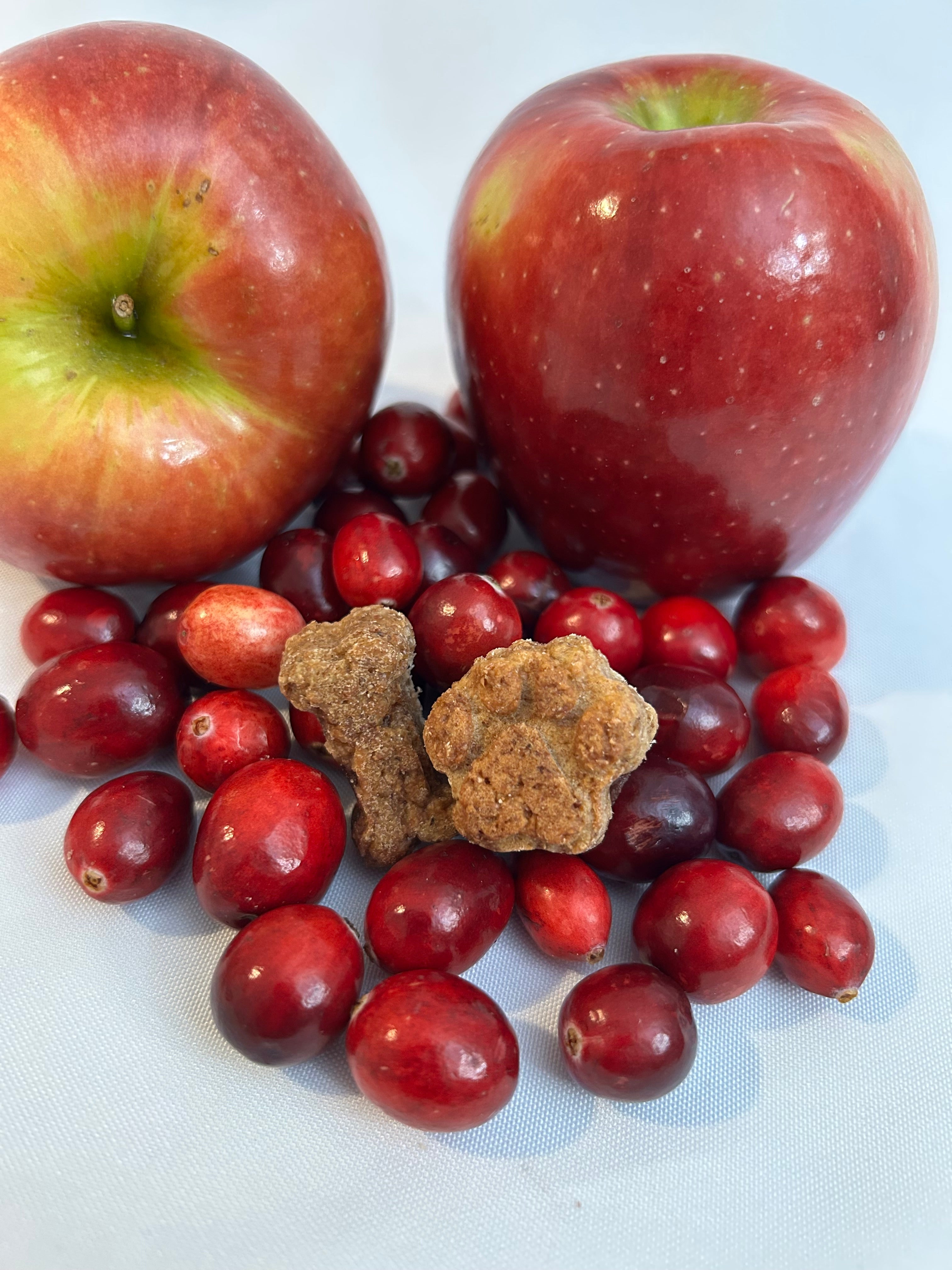 Lucy Loo Apple & Cranberry Dog Treats (5 oz Bag) – Dog Treats & Chews | Doggo Dream Shop