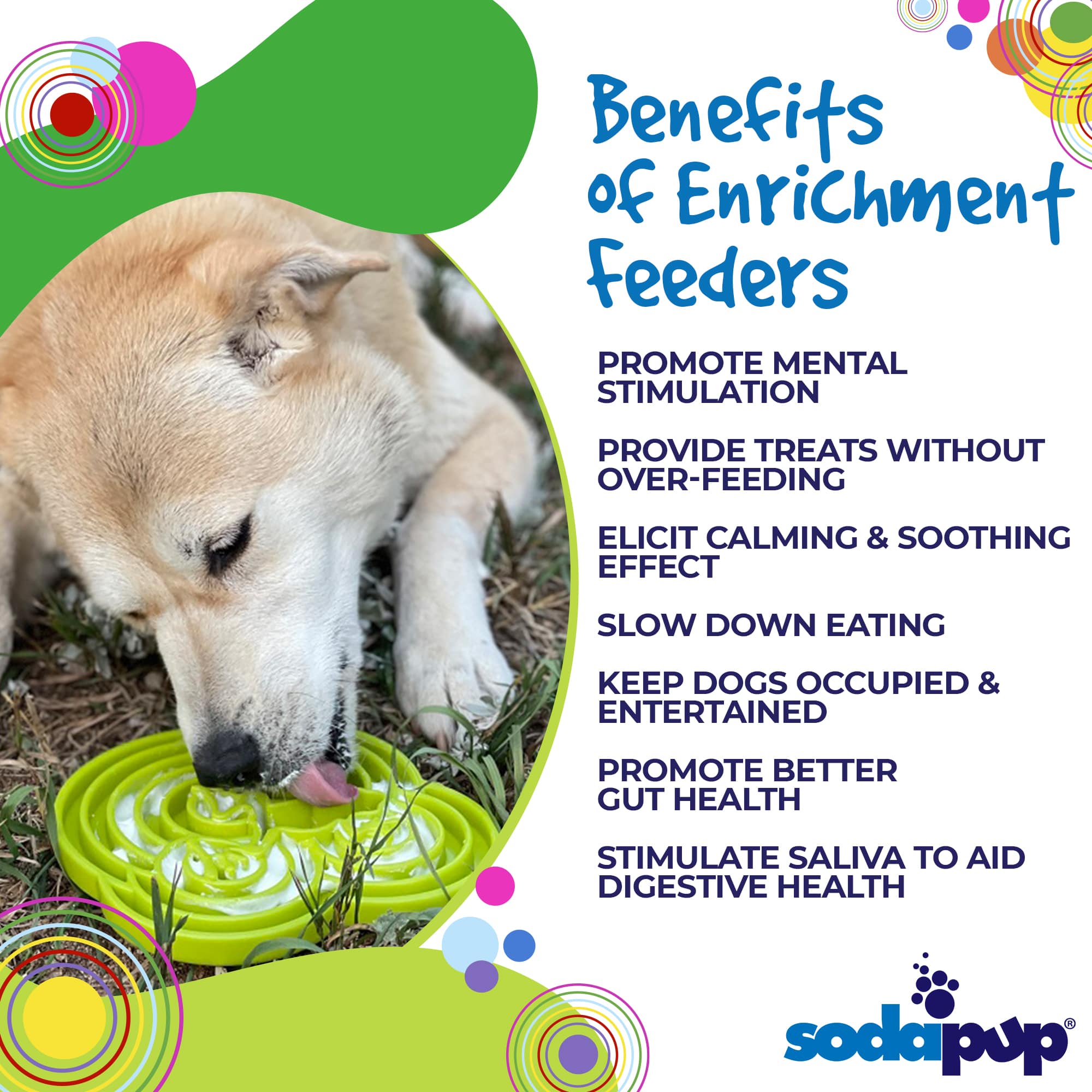 Water Frog eTray Slow Feeder Dog Bowl for Enrichment | USA Made