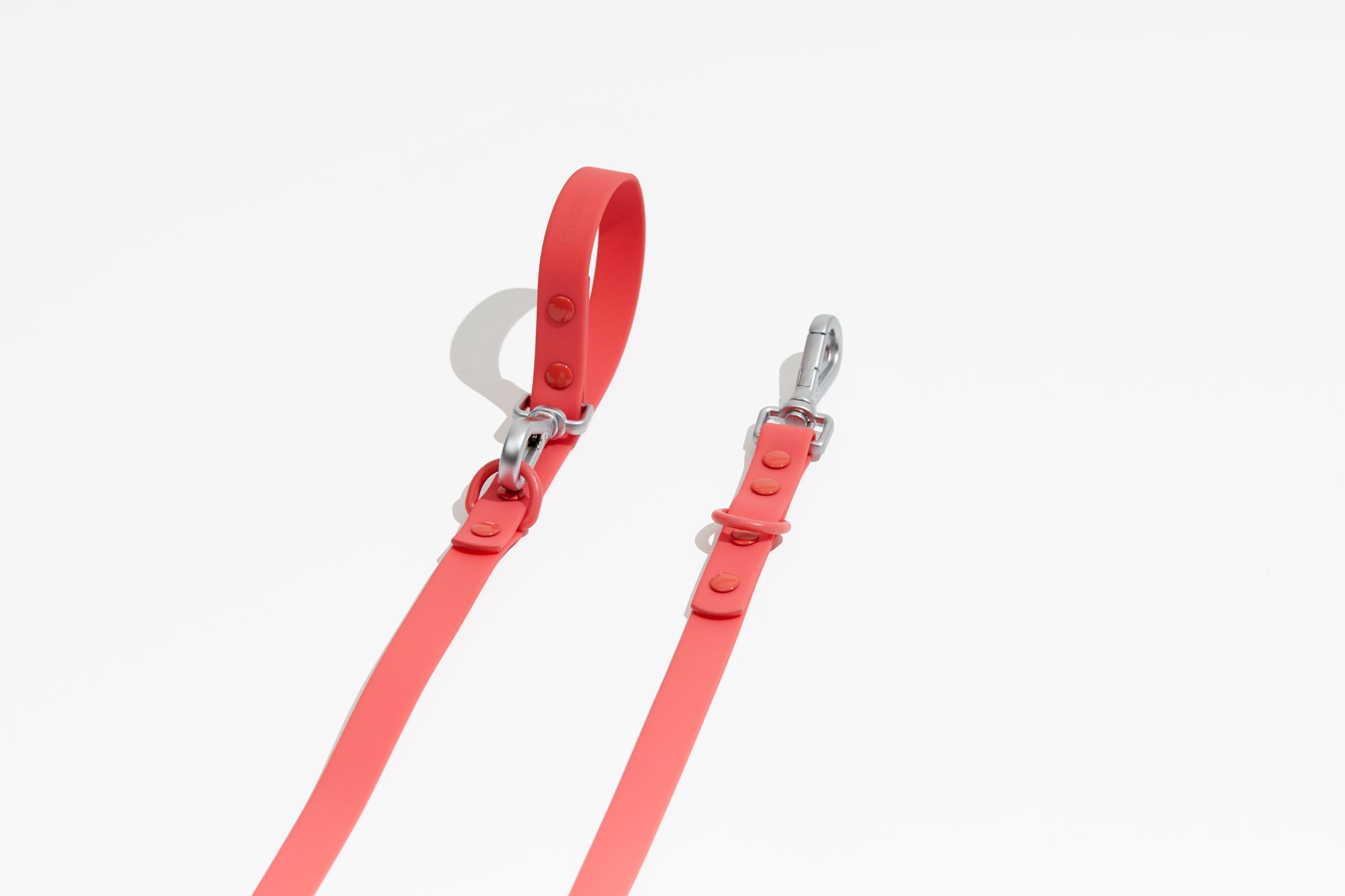 Luxe Leash - Poppy – Leash | Doggo Dream Shop